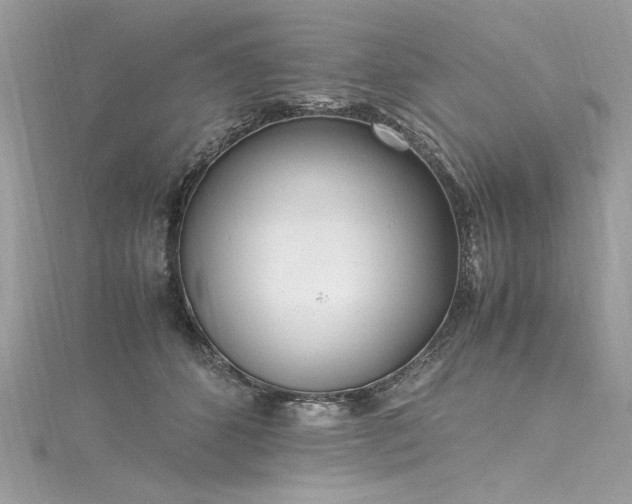 X0000116290512200911301422