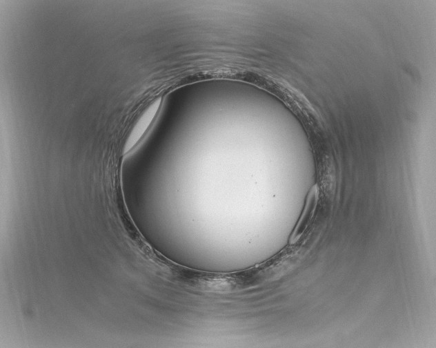 X0000116290513200911301422