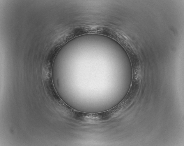 X0000116290515200911301421