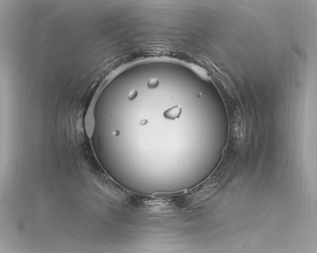 X0000116290516200911301421