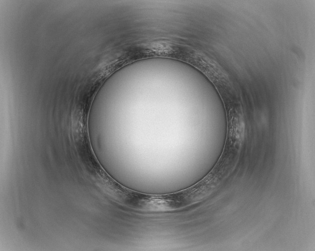 X0000116290518200911301421