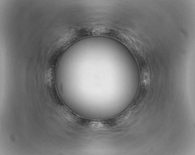 X0000116290519200911301421