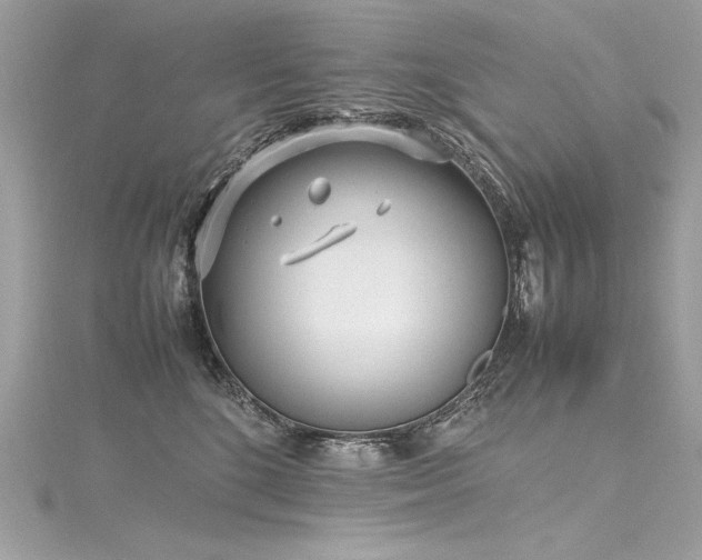 X0000116290520200911301421