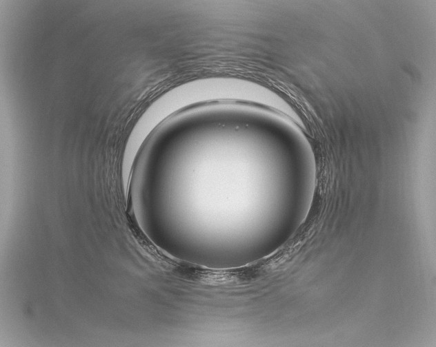 X0000116290521200911301421