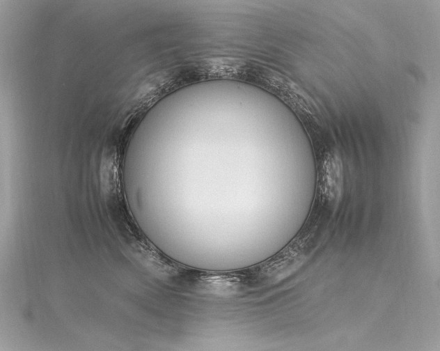 X0000116290522200911301421