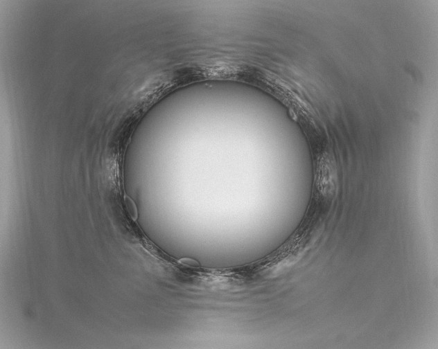 X0000116290523200911301421