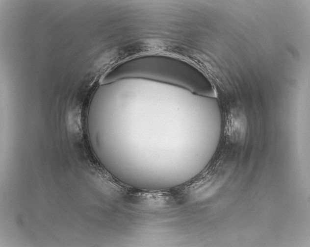 X0000116290524200911301421