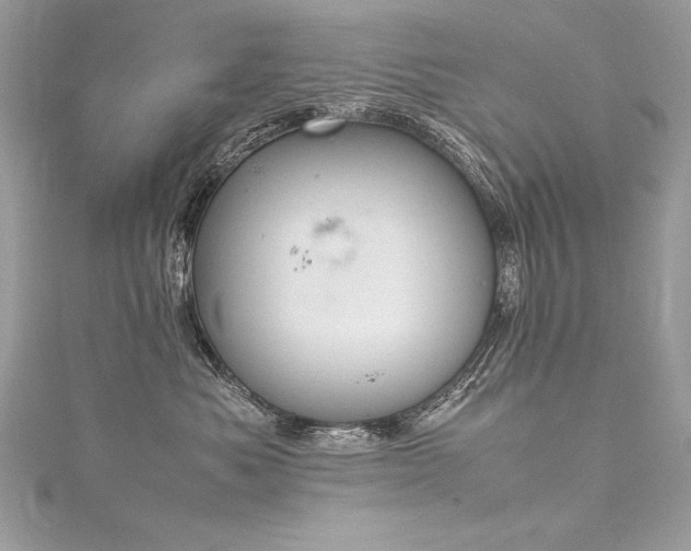 X0000116290525200911301421