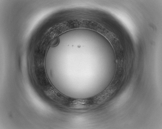 X0000116290526200911301421