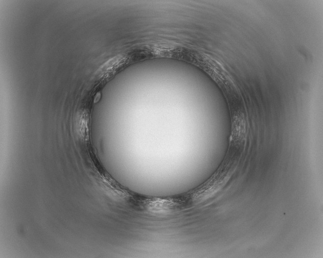 X0000116290527200911301421