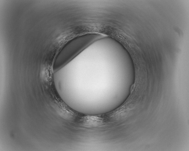 X0000116290528200911301421