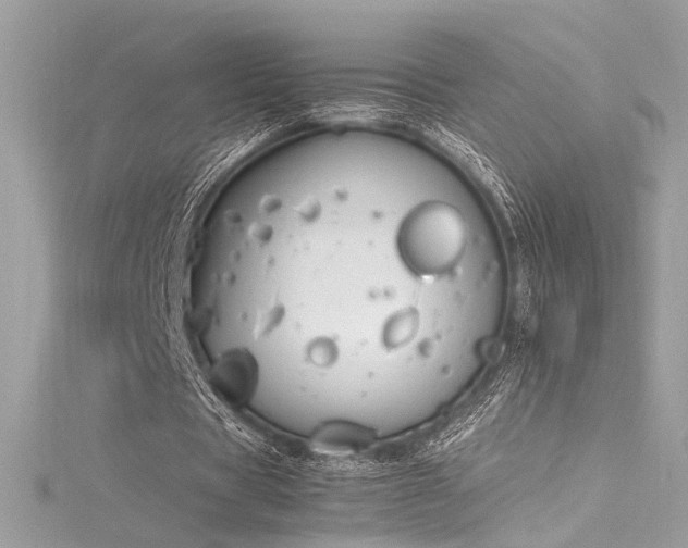 X0000116290529200911301420