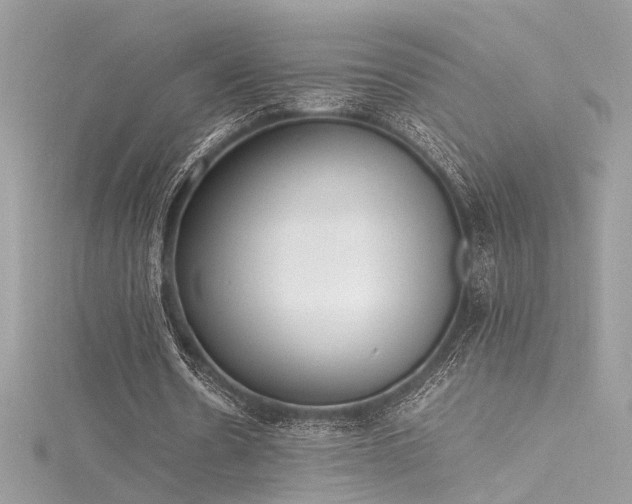 X0000116290530200911301420