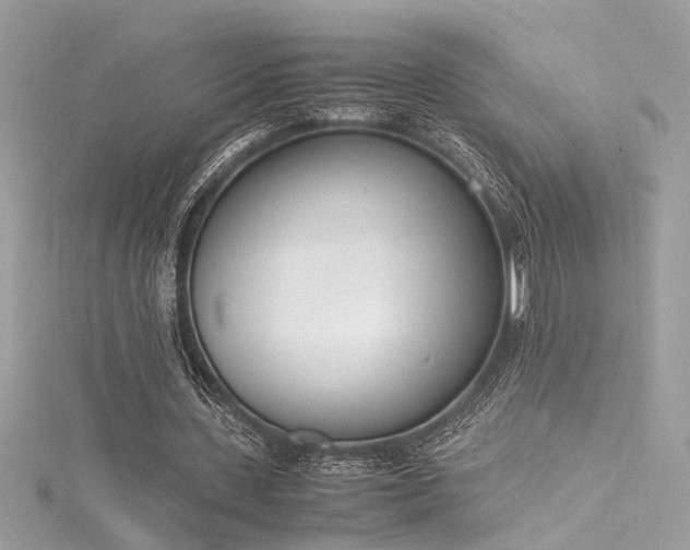 X0000116290531200911301420