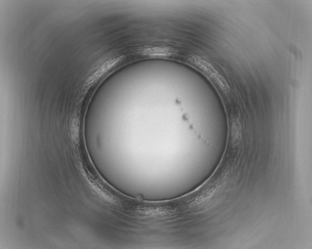 X0000116290533200911301420