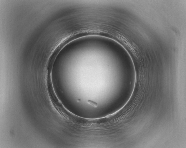 X0000116290534200911301420