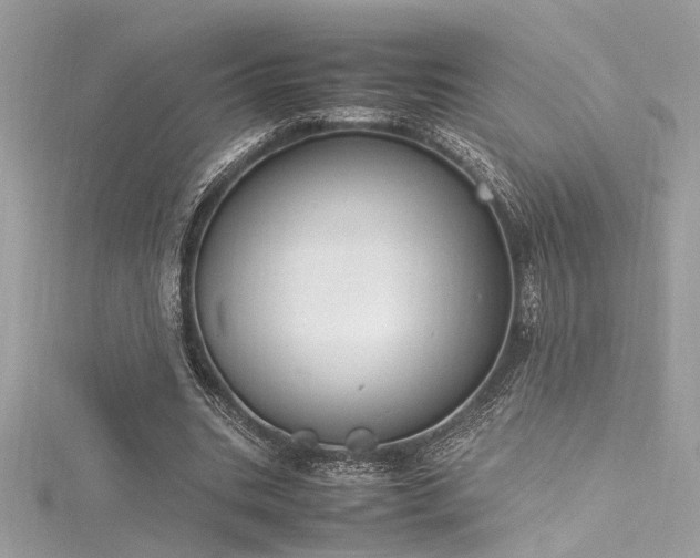 X0000116290535200911301420