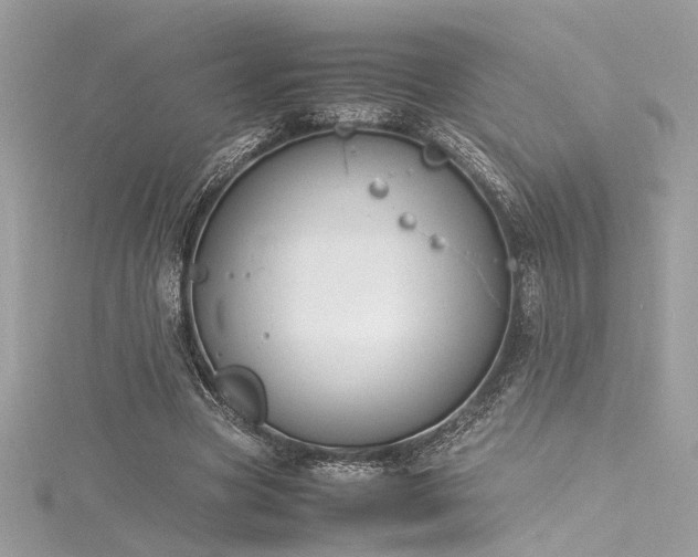 X0000116290537200911301421