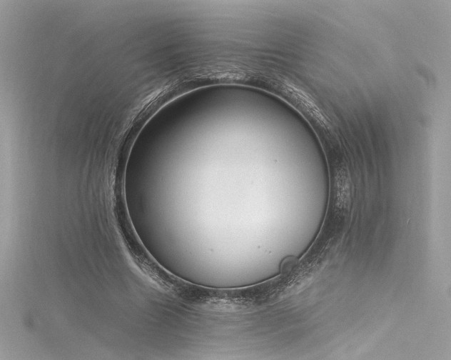 X0000116290538200911301421