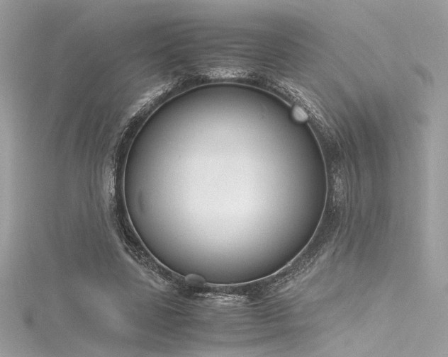 X0000116290539200911301421