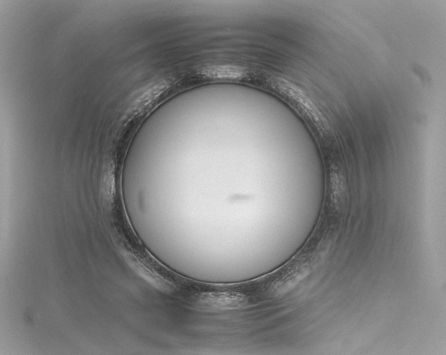 X0000116290541200911301421