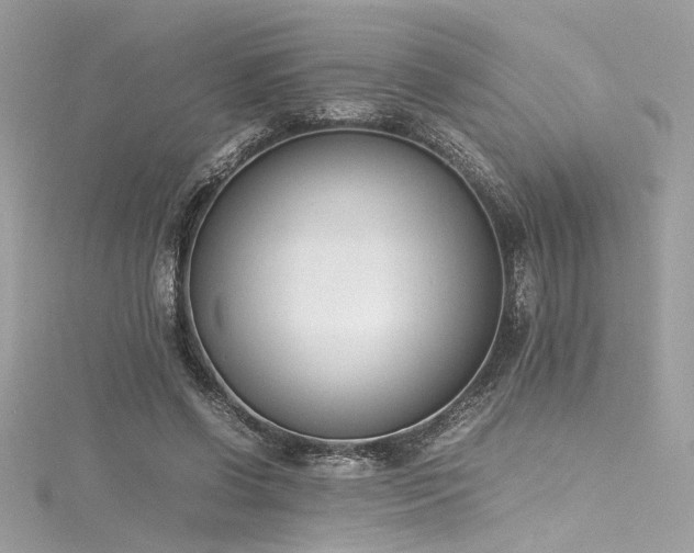 X0000116290542200911301421