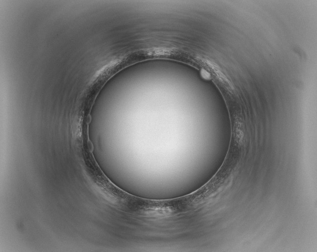 X0000116290543200911301421