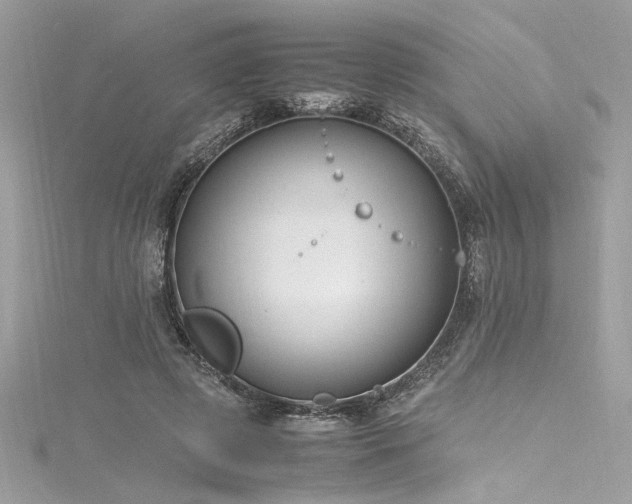 X0000116290545200911301421