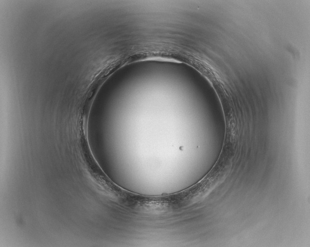 X0000116290546200911301421