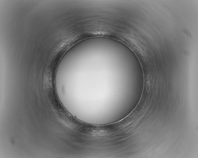 X0000116290547200911301421