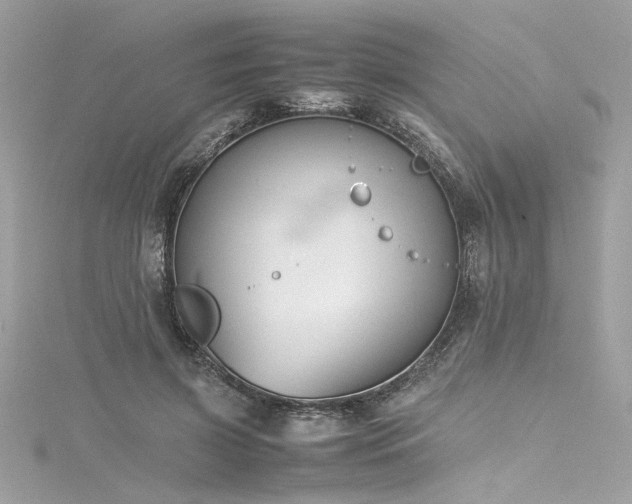 X0000116290549200911301421