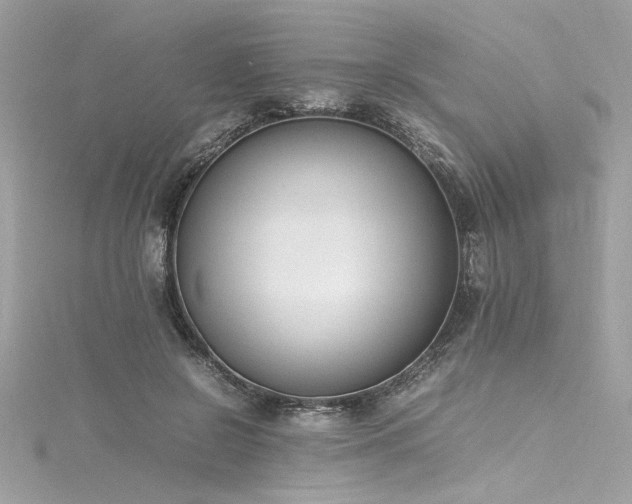 X0000116290550200911301421