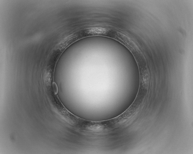 X0000116290551200911301421