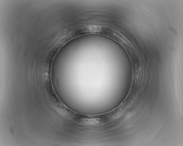 X0000116290553200911301421