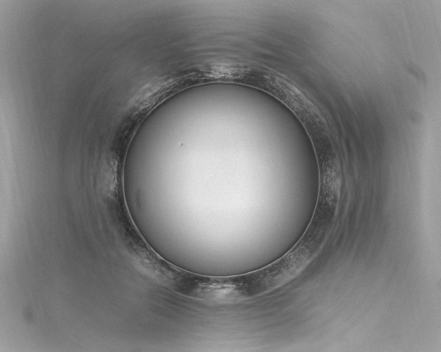 X0000116290554200911301421