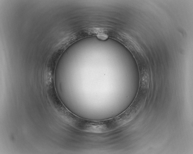 X0000116290555200911301421