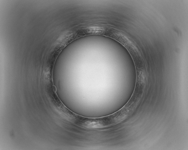 X0000116290557200911301421