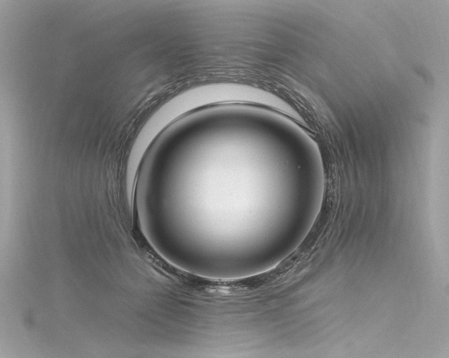 X0000116290558200911301421