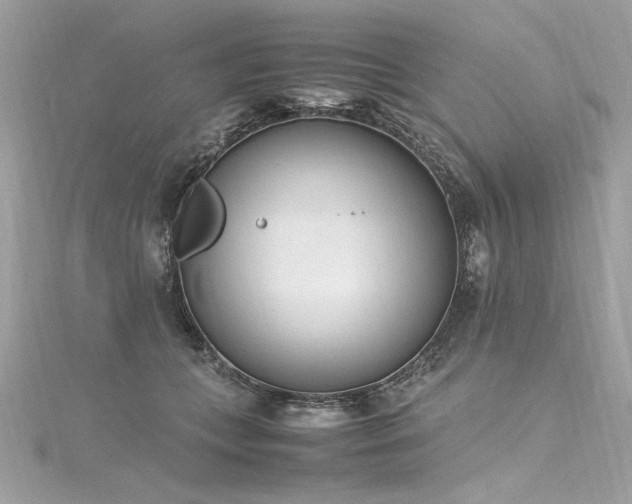 X0000116290559200911301421