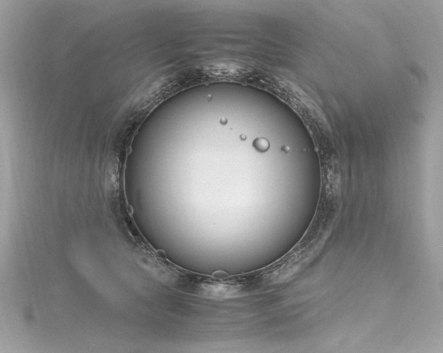 X0000116290561200911301421