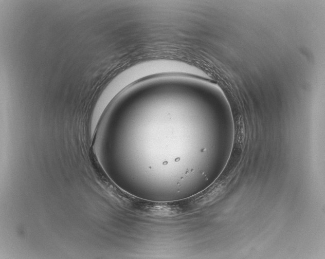 X0000116290562200911301421