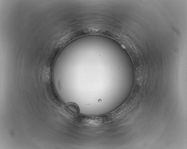 X0000116290563200911301421