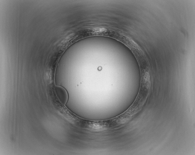 X0000116290565200911301421