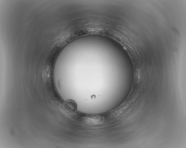 X0000116290567200911301421