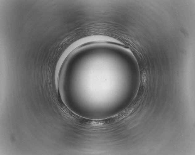 X0000116290570200911301421