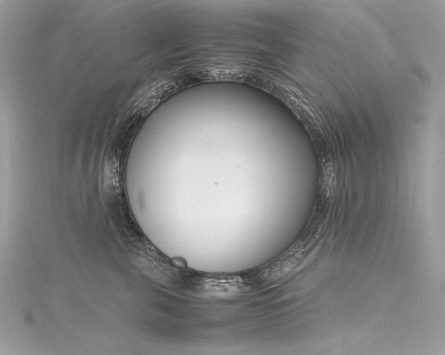 X0000116290571200911301421