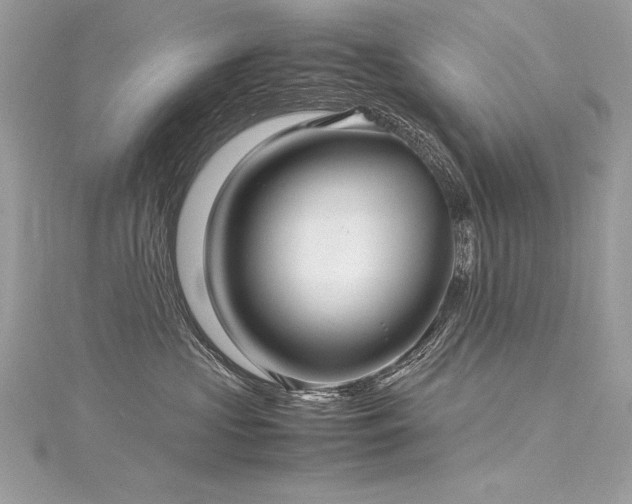 X0000116290573200911301421