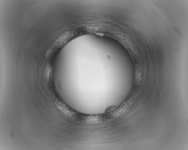 X0000116290574200911301421