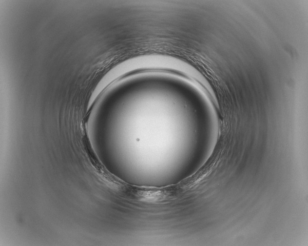 X0000116290575200911301421