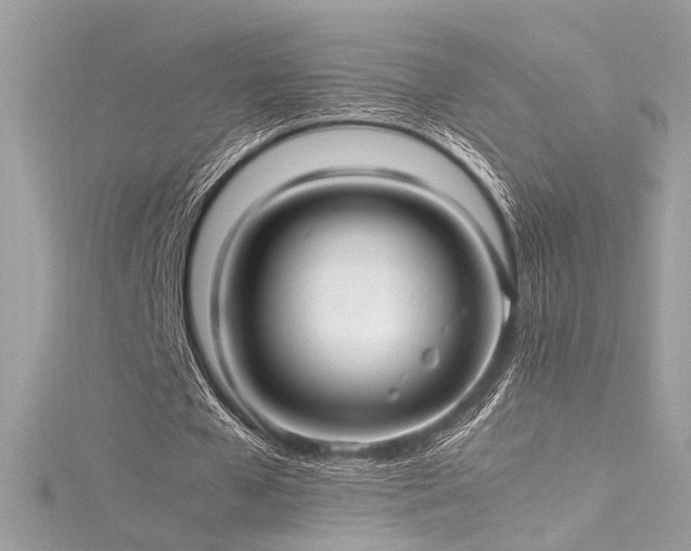 X0000116290577200911301420